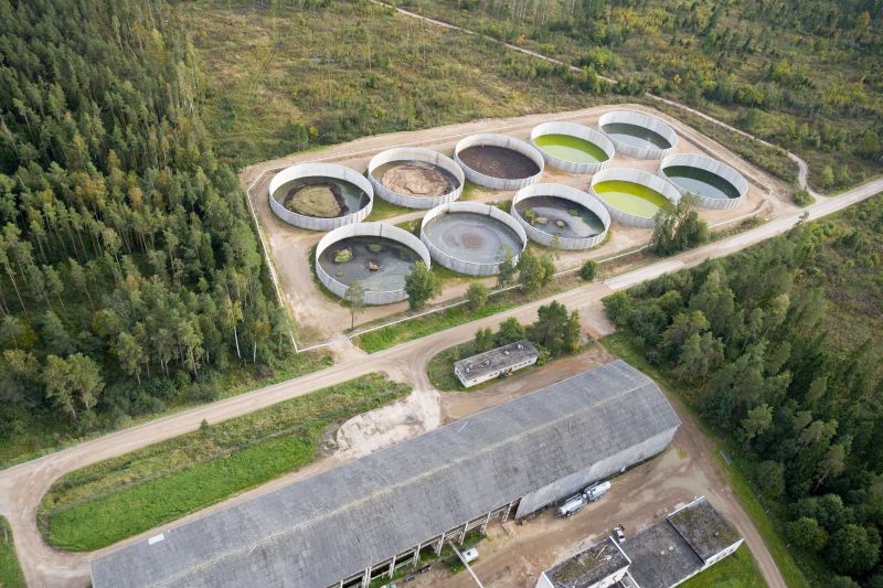 Ekseko_1